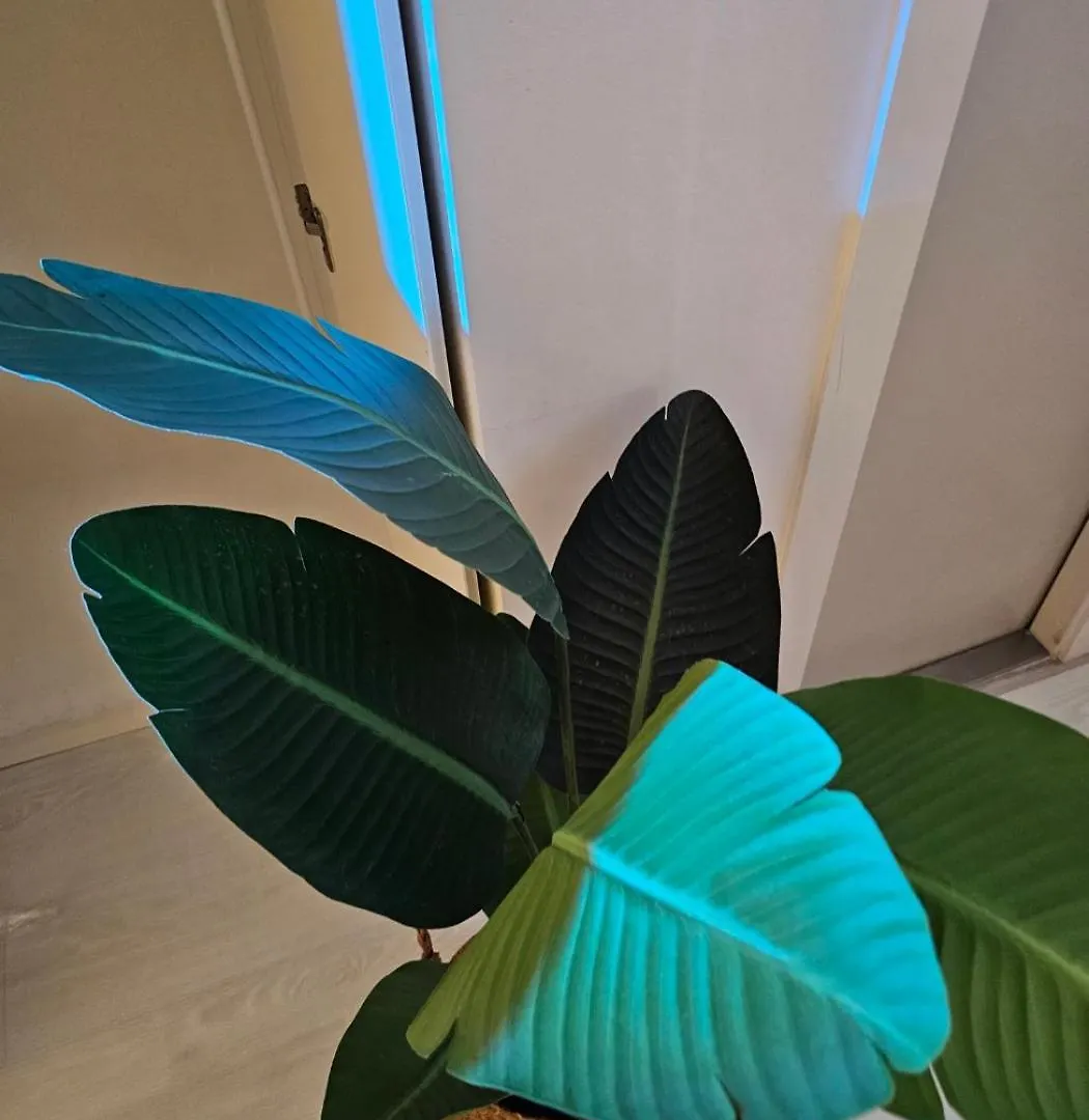 Emotional House - Night View, Full Options, One Bedroom Incheon